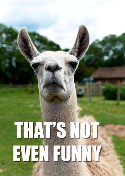 not_funny_llama.png