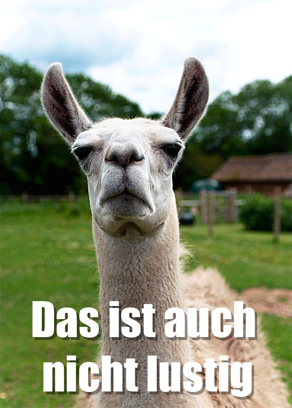 german_not_funny_llama.png